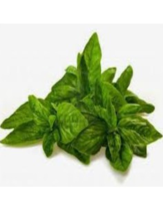 ALBAHACA
