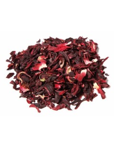 HIBISCO FLOR