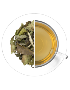 TE BLANCO PAI MU TANG Té blanco pai mu tang