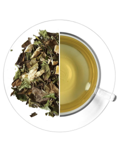 Té Blanco Dragón Fung | Mezcla Exótica con Mango, Jengibre y Flores