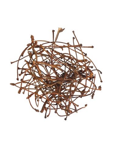 Rabos de Cereza