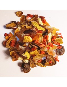 INFUSIÓN CASCARAS DE CAFÉ NARANJA MANGO FRESA PAPAYA 2