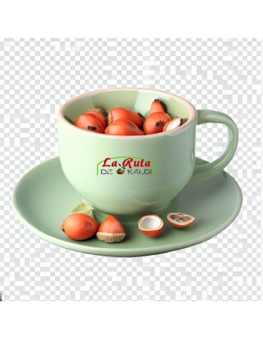 Explorando las Maravillas de la Cáscara de Rosa Canina.