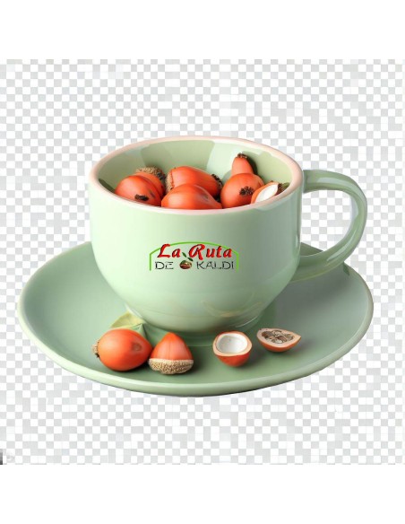 Explorando las Maravillas de la Cáscara de Rosa Canina.