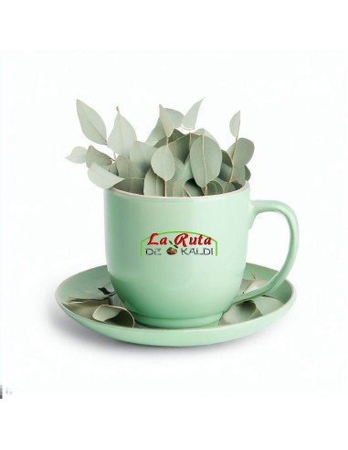 EUCALIPTO HOJAS CORTADA El eucalipto es una planta medicinal muy us...