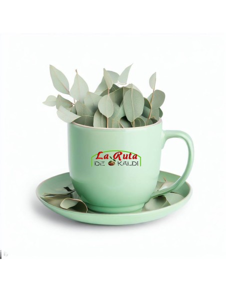EUCALIPTO HOJAS CORTADA El eucalipto es una planta medicinal muy us...