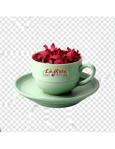 HIBISCO FLOR 2