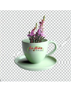 BREZO FLOR infusión de brezo, conocidas por los efectos beneficioso... 2