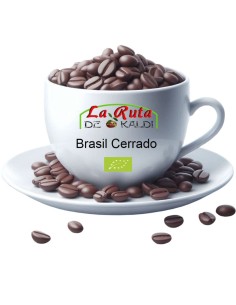 Deléitate con el auténtico sabor del café brasileño orgánico | La Ruta de Kaldi 2