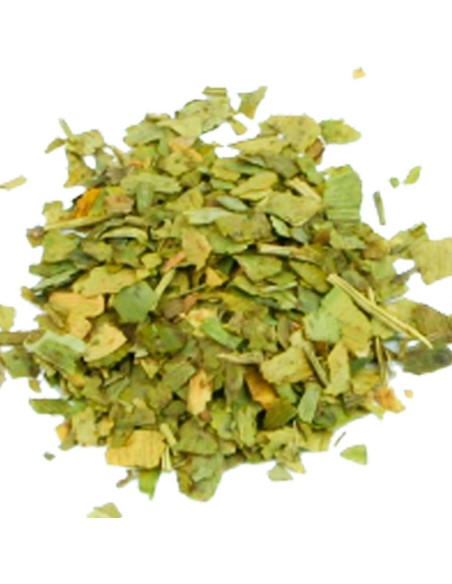 Ginkgo Biloba: Beneficios para la memoria y salud cerebral.