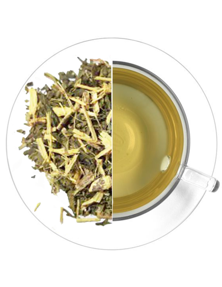 Té verde de regaliz - Beneficios para la salud y sabor dulce en una sola taza.
