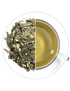 Refresca tus sentidos con el delicioso sabor de nuestro té verde mojito.