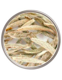 Té Silver Needle Premium | El Té Blanco Más Fino y Delicado del Mundo 2