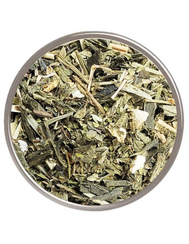 Refresca tus sentidos con el delicioso sabor de nuestro té verde mojito.
