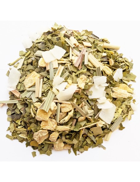 Prueba nuestra infusión de mate con citronela, jengibre y coco - Deliciosa y saludable.