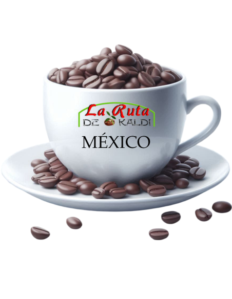 Café de especialidad México | SCA 85+ en grano